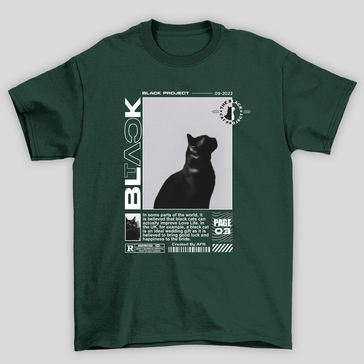 Gato Black Project Cat